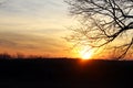 Sunset at winter over a vineyard farm field Royalty Free Stock Photo