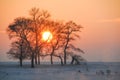 Sunset in Winter tale. Jilin Rime Islands of Northeast Royalty Free Stock Photo