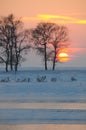 Sunset in Winter tale. Jilin Rime Islands of Northeast Royalty Free Stock Photo