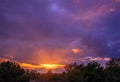 Sunset in the woods with bulky colorful clouds Royalty Free Stock Photo