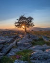 Sunset on the Yorkshire Dales Royalty Free Stock Photo