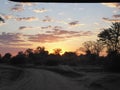 Sunset zambezi Zambia safari Africa nature wildlife