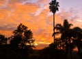 Sunset in Zimbabe