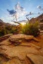 Sunset Zion Royalty Free Stock Photo