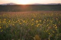 Sunset on Zlatibor Royalty Free Stock Photo