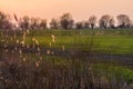 Sunset on ZuÃâawy Wislane in Poland, beautiful landscape