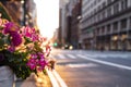 Sunsets behind flowers at the intersection of 23rd Street and 5th Avenue in Manhattan, New York City Royalty Free Stock Photo