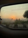 Sunset from the window of a car, sun between the trees