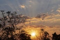 Sunsetting with golden light bathing fluffy white clounds Royalty Free Stock Photo