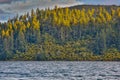 Sunsetting on trees across a lake