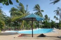 A sunshade with swimming pool with clear blue water and jungle pamls near a hotel in Koh Samui island in Thailand