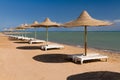 Sunshades on the beach Royalty Free Stock Photo