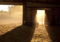 Sunshine through a barn door