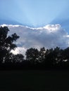 Sunshine behind cloud with treetops