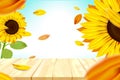 Sunshine and bokeh with yellow sunflower and blue sky background Royalty Free Stock Photo