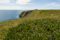 Sunshine at Cape St. Mary`s Ecological Reserve