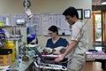 Injured Koala patient in Australia Zoo Wildlife Hospital