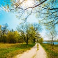 Sunshine Through Crown Of Tree Over Sandy Countryside Road. Spri Royalty Free Stock Photo