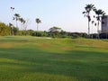Sunshine day in a golf grass field Royalty Free Stock Photo