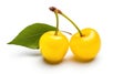 Sunshine Elixir: Yellow Cherry on White background