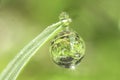 Sunshine Inside A Raindrop Royalty Free Stock Photo