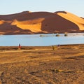 sunshine in the lake yellow desert of morocco sand and dune Royalty Free Stock Photo