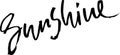 Sunshine. Modern dry brush lettering. Vector illustration.