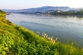 Sunshine Morning And Green Grass On The Mekong River