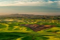 Sunshine over crop fields in Palouse hills Royalty Free Stock Photo