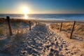 Sunshine over path to beach in North sea Royalty Free Stock Photo