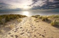 Sunshine over sand path to North sea beach Royalty Free Stock Photo