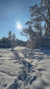 Sunshine Over Snowy Terrain with Footpath