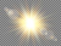 Sunshine with rays on transparent background. Sun light. Golden glowing light effect. Sunlight lens flash. Magic banner