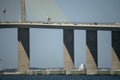 Sunshine Skyway Bridge over Tampa Bay in Florida with moving traffic. Concept of transportation infrastructure