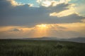 Sunshine At Sunrise Bright Dramatic Sky Above Agricultural Landscape With Flowering Blooming Oilseed Field. Spring Royalty Free Stock Photo