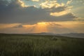 Sunshine At Sunrise Bright Dramatic Sky Above Agricultural Landscape With Flowering Blooming Oilseed Field. Spring Royalty Free Stock Photo