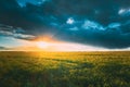 Sunshine During Sunset Above Rural Landscape With Blooming Canola Colza Flowers. Sun Shining In Dramatic Sky At Sunrise Royalty Free Stock Photo