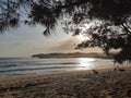 Sunshine in tambak rejo beach ,tambak rejo blitar east java Royalty Free Stock Photo