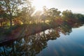 Sunshine through trees on riverbank.