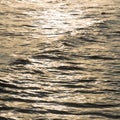 sunshines in the sea. Royalty Free Stock Photo