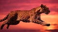 sunsky leopard pink