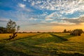 Sunsrise on a agrcultural field in the Netherlands landscape photo