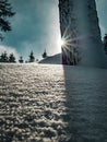 Sunstar with snow landscape in Czech forest in winter Royalty Free Stock Photo