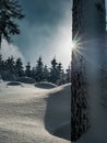 Sunstar with snow landscape in Czech forest in winter Royalty Free Stock Photo