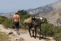 Suntanned man leading a mule with cargo