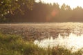 Sunup under early morning pine forest lake Royalty Free Stock Photo