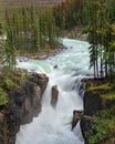 Sunwapta Falls, Jasper National Park, Alberta, Canada Royalty Free Stock Photo