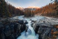 Sunwapta Falls is pair of the Sunwapta river in autumn forest at sunset. Icefields Parkway, Jasper national park Royalty Free Stock Photo