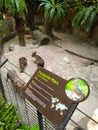 Sunway Lagoon Zoo