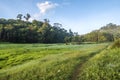 Suoi Tia area view near Ho Tuyen Lam lake, Da Lat city, Vietnam